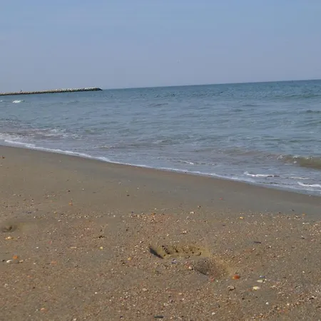 Selen Apartment-faleza Nord Lejlighed